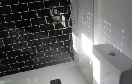 Reforma Baños Jose de Toro