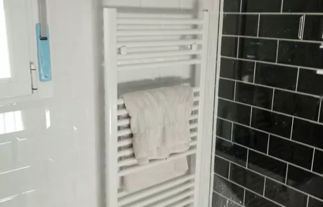 Reforma Baños Jose de Toro